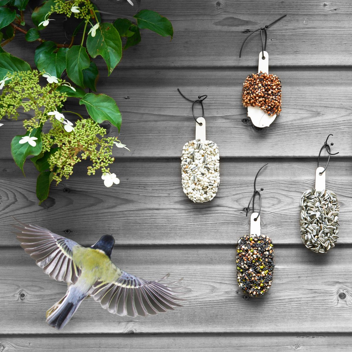 Dessert for Birds Double Delicious