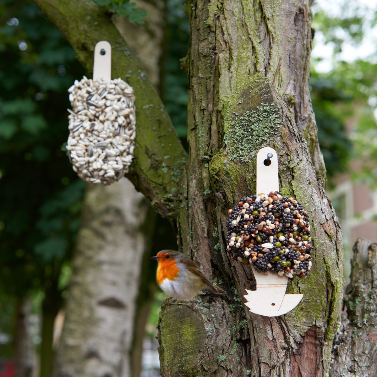 Dessert for Birds Double Delicious