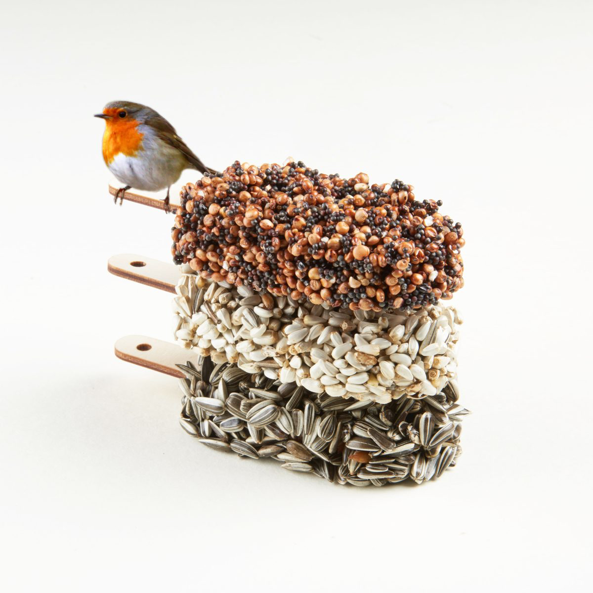 Dessert For Birds Indian Summer