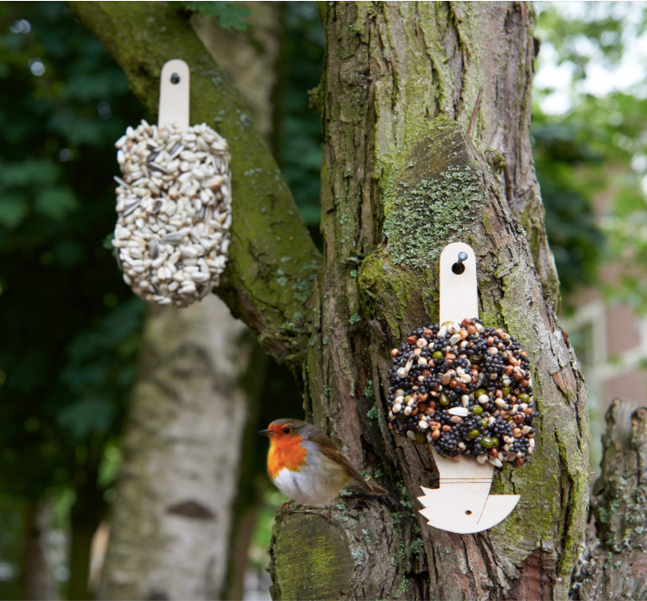 Dessert For Birds Crunchy Crunchy