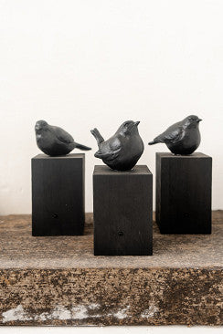 HS Sing bird zwart
