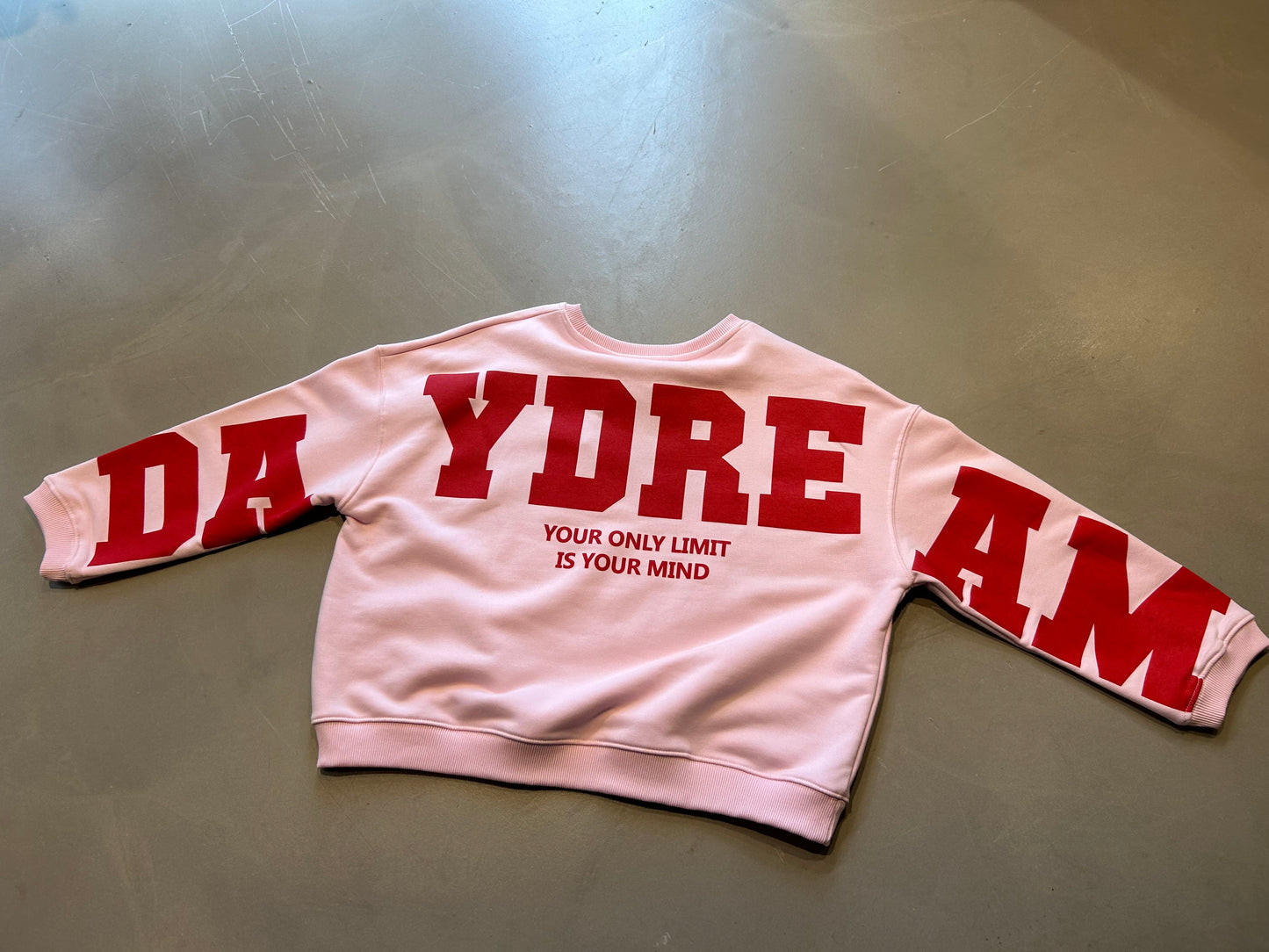 TSPSweater Daydream roze