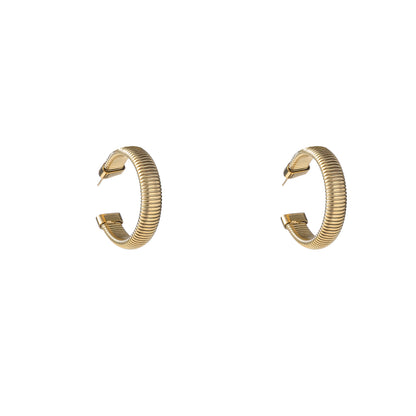 Oorbellen Spring Hoop E5379-2