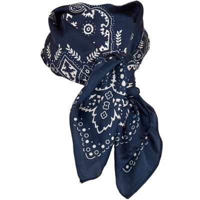 PC Polette Scarf sky captain print