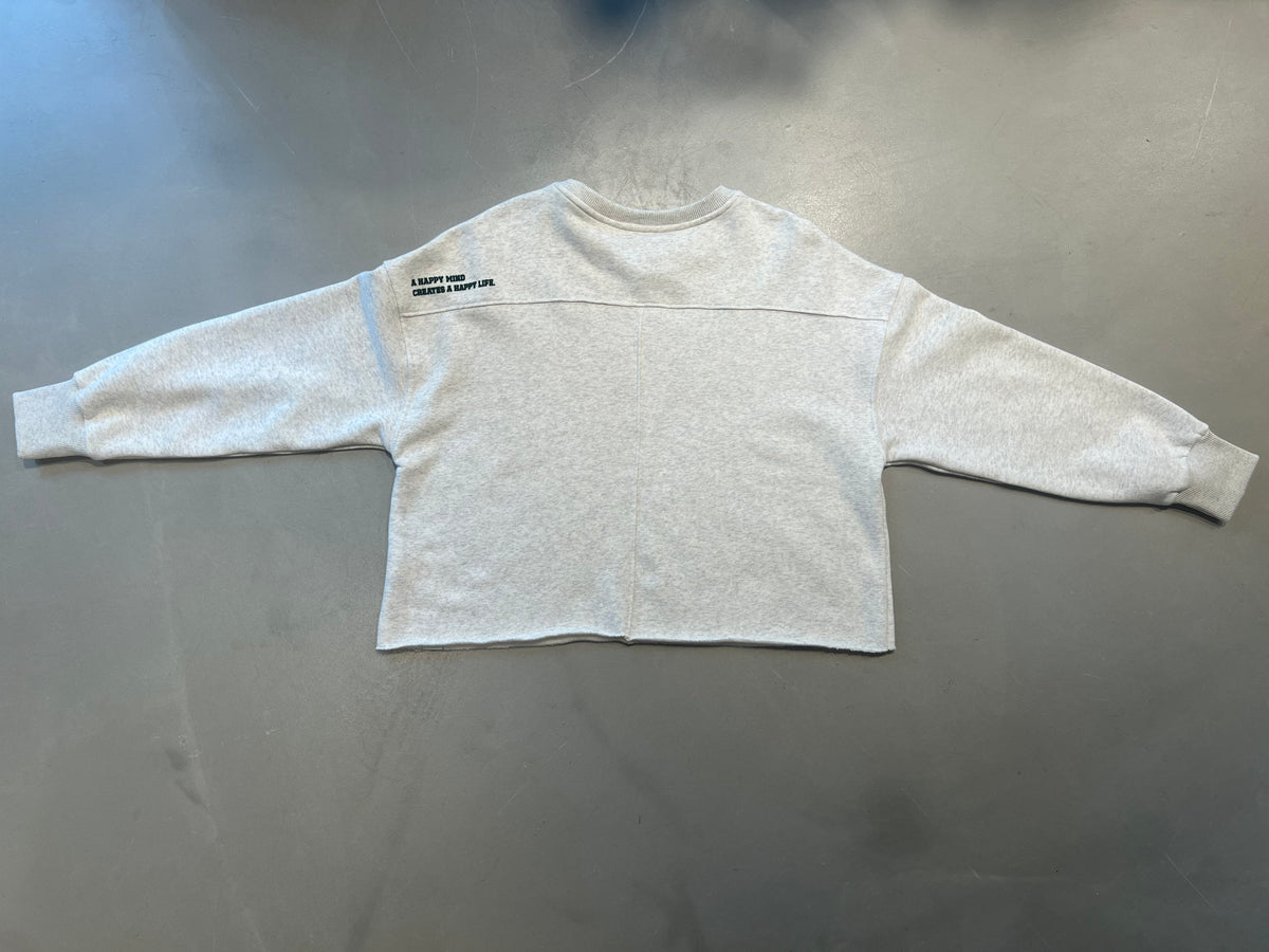 TSP Sweatshirt silver melange 51975